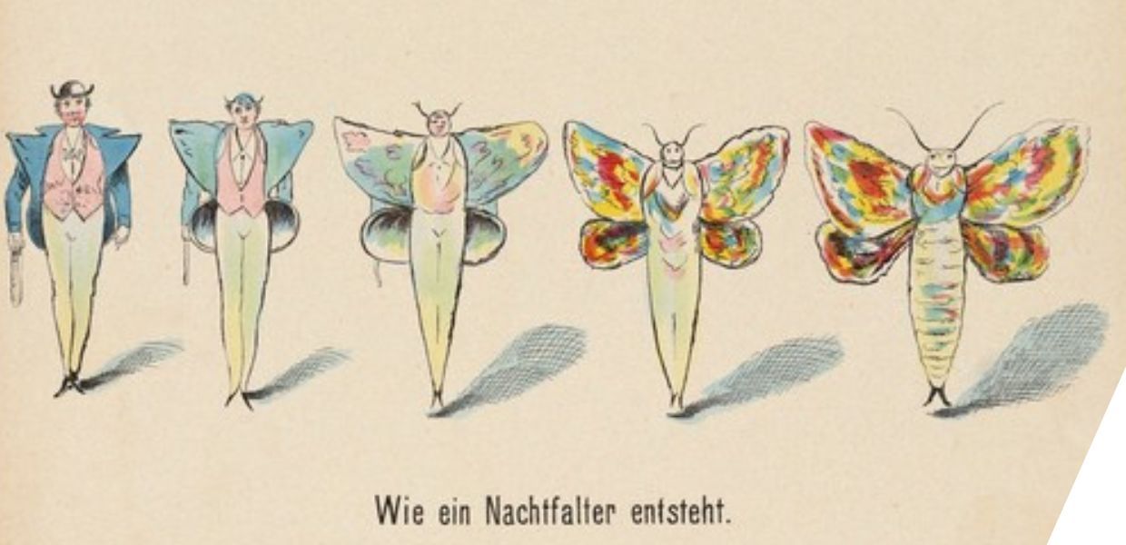 Five drawings, on the left a man in a suit with large lapels, which changes slightly with each drawing, and on the right a colourful butterfly.