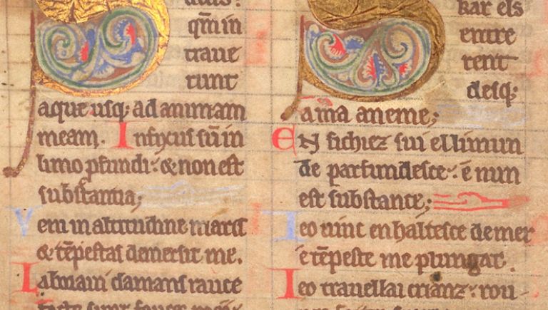 Medieval manuscript databases