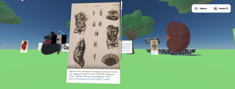 A screenshot of the Mozilla hubs project Anatomical Open Air Museum showing an open space an information board on anatomy