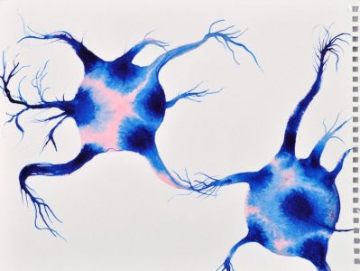 Neurones connecting, artwork, Stephen Magrath, Wellcome Collection, Public Domain
