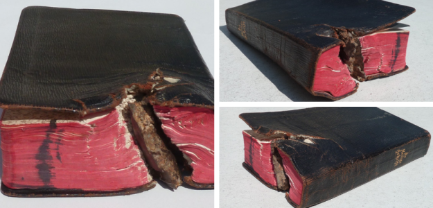 Die Bibel als Rettung vor dem Tod | Prof. Dr. Gottfried Geiler, 1917, Europeana 1914-1918, CC0