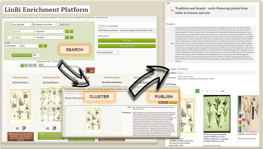 Screenshot of the LinBi Enrichment platform