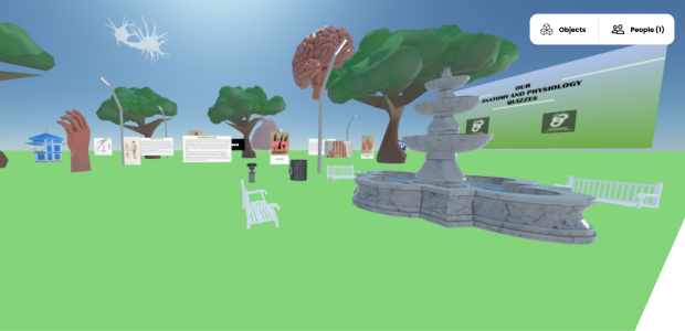 A screenshot of the Mozilla hubs project Anatomical Open Air Museum showing an open space with a fountain and information boards