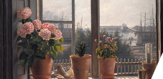 Flowerpots on a windowsill looking over a city