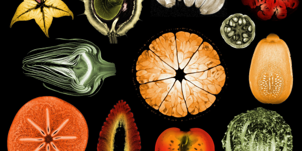 A collage of fruits seen through an MRI scanner