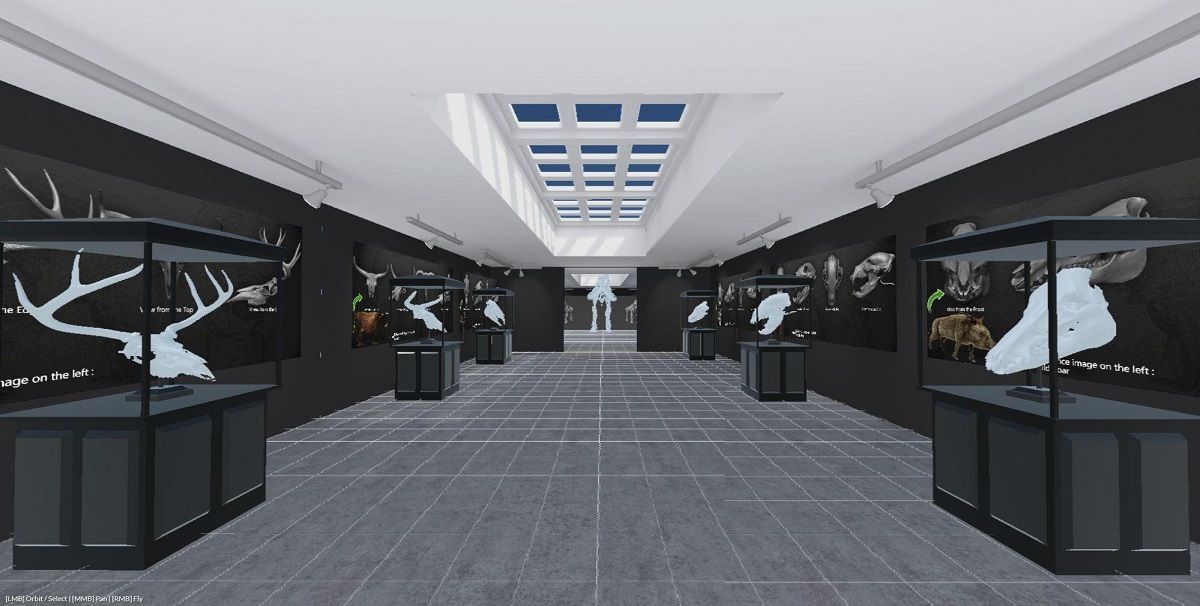 A screenshot of a virtual museum in Mozilla hubs with display cases showing animal skulls