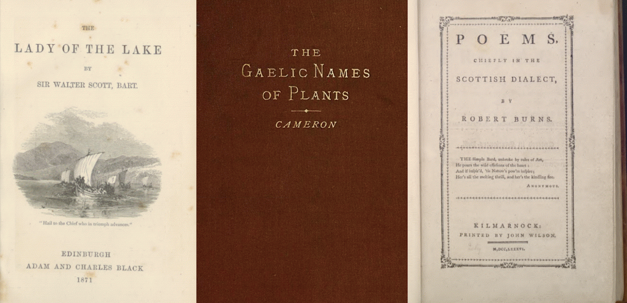 The lady of the lake. | Walter Scott; Poems, chiefly in the Scottish dialect. | Robert Burns; Gaelic names of plants (Scottish and Irish)| John Cameron (musician), 1871;1786;1883, The National Library of Scotland, United Kingdom, CC BY; Public Domain