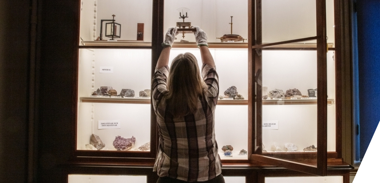 A person adding items to a display case in a museum