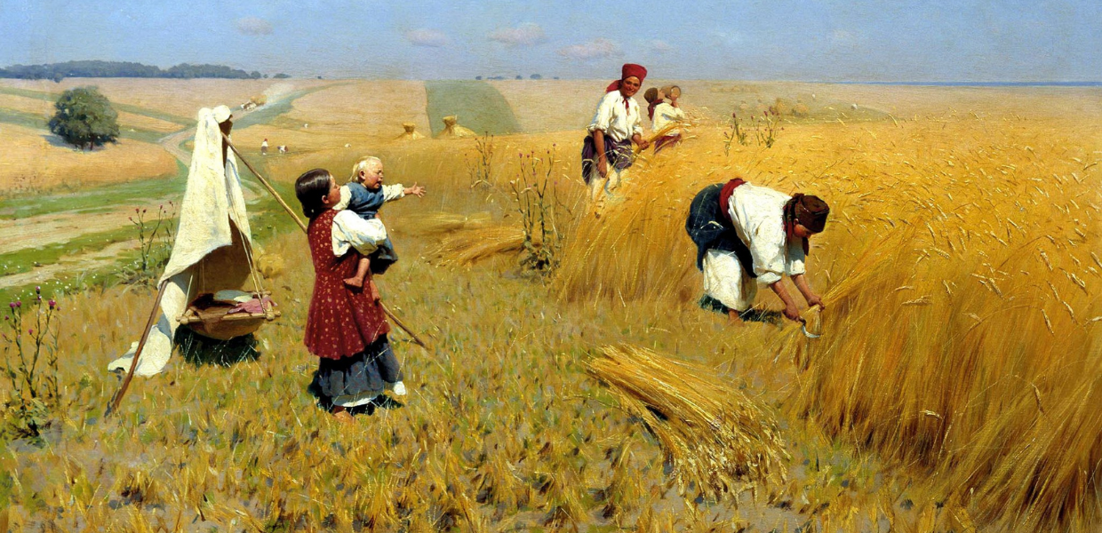 People working harvesting wheat