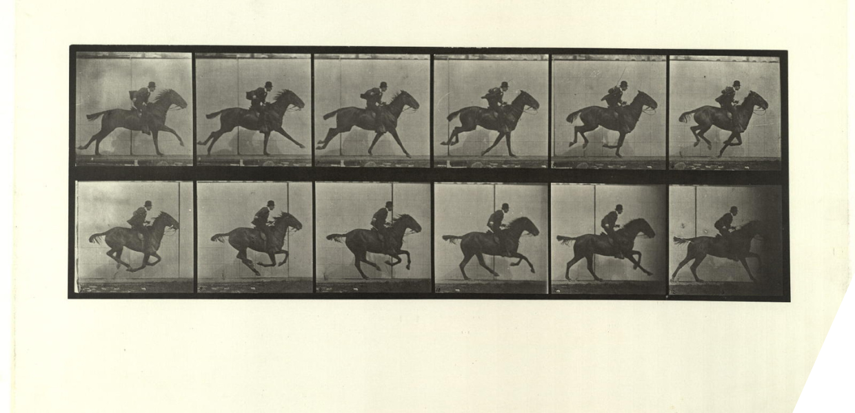 Several shots of a jockey riding a horse