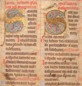 Medieval manuscript databases