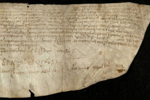 Charters from the Biblioteca de Catalunya